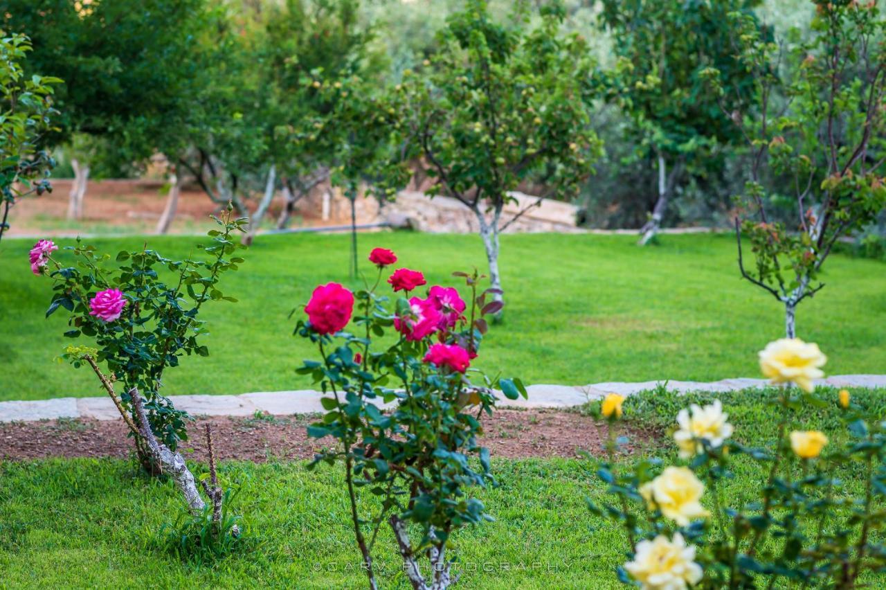 Ελαιών Apartments/Eleon Apartments Korissia  المظهر الخارجي الصورة
